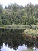 Albums/20060200-New Zealand 2006/20060207-South to Fox/35